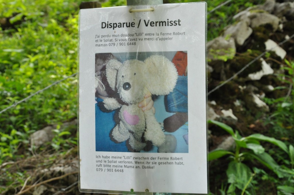 Plakat des vermissten Plüschtiers